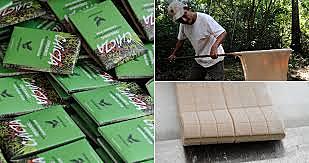 1993 proyecto chiza piloto