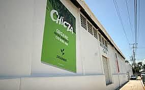 1998 union de productores