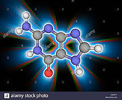 Los argumentos respecto al fundamento genético