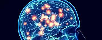 Neuropsicologia y psicologia evolutiva