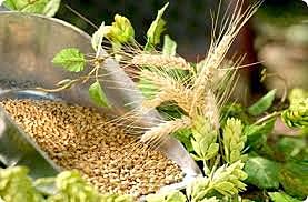 C.Cagniard-Latour, Th. Schwann y F. Kûtzing