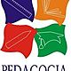 Pedagogía