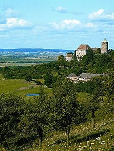 Caida de un Ovni en Alemania