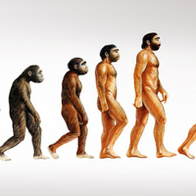 Timeline: Human Evolution (in thousand years)