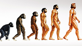 Timeline: Human Evolution (in thousand years)