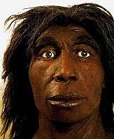 Homo Neanderthalensis (GRUP HOMO)