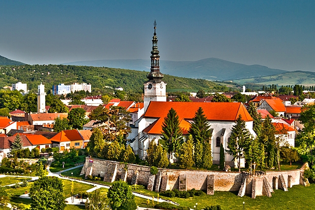 Birth of Ernest Nagel