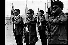 The Black Panthers