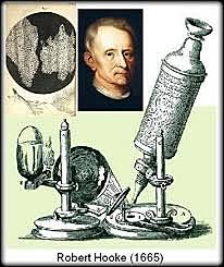 Robert Hooke, Descubrimiento de la celula