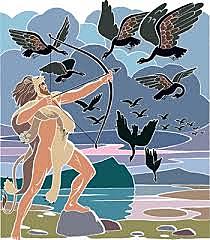 ΣΤΥΜΦΑΛΙΔΕΣ ΟΡΝΙΘΕΣ