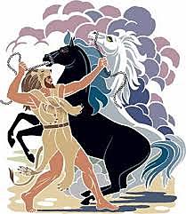 ΑΛΟΓΑ ΔΙΟΜΗΔΗ