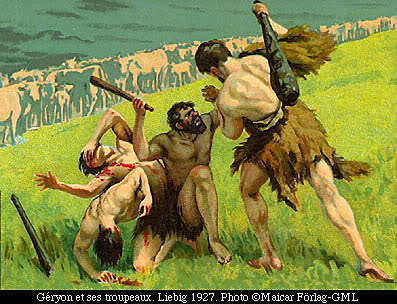 ΒΟΔΙΑ ΓΗΡΥΟΝΗ