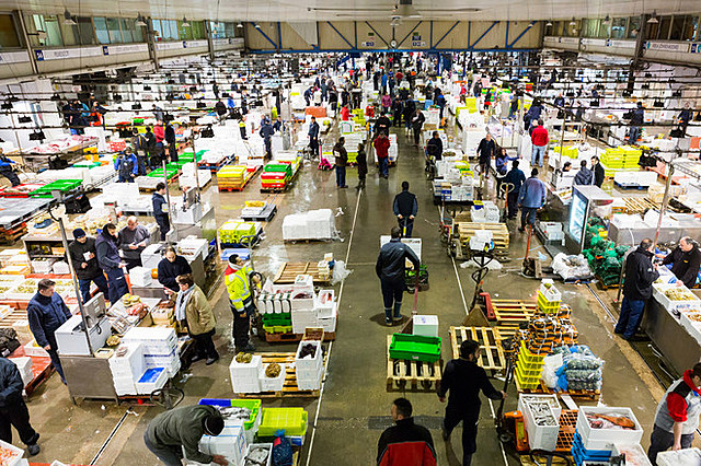 EL HOMBRE DEL TRAJE COLOR CASTAÑO (1)