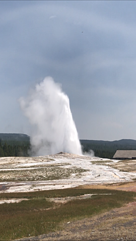 Visiting Old Faithful