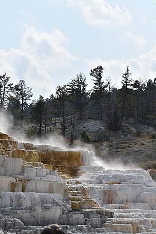 Visited Mammoth Hotsprings