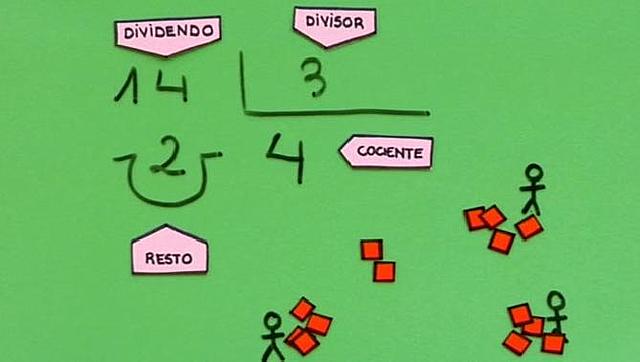 partes de la división