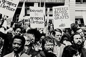 The California Grape Boycott