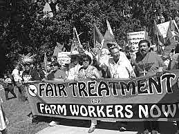 The Untied Farm Workers Movement