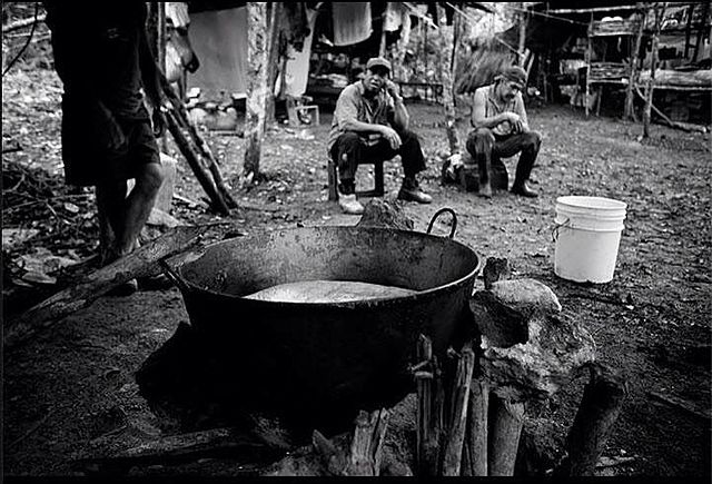 Caída de la demanda de goma natural