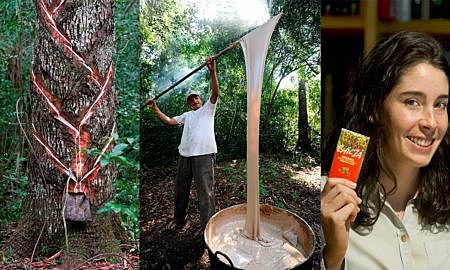 Goma con menos 40% de látex