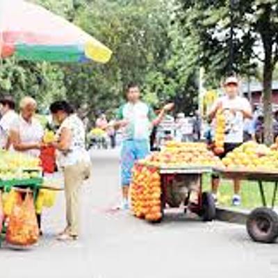 Timeline: Vendedores Ambulantes en Popayán
