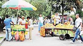 Timeline: Vendedores Ambulantes en Popayán