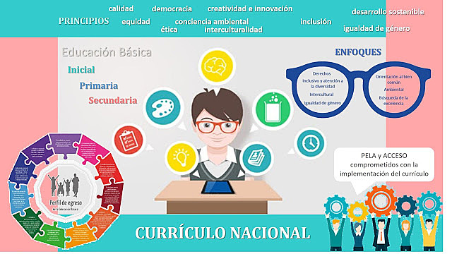 Incorporación de de la planificación y de nuevos modelos curriculares