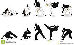 dentro en un curso de capoeira