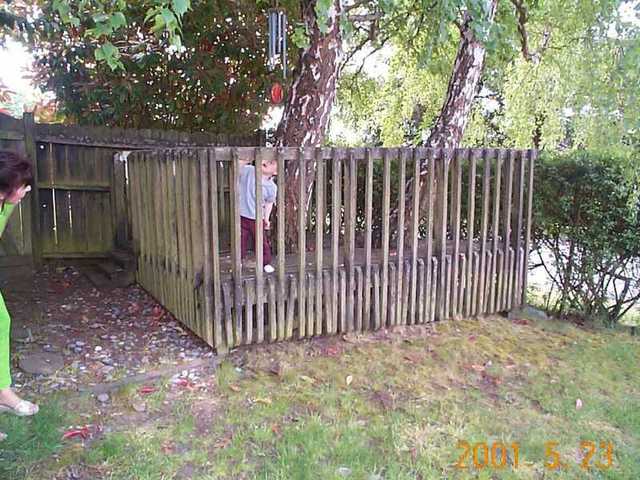 Tree Fort Built