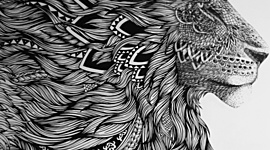 Timeline:  Maria Jose's personal time line