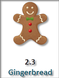 ANDROID 2.3 - GINGERBREAD