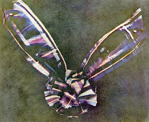 Η πρώτη έγχρωμη φωτογραφία