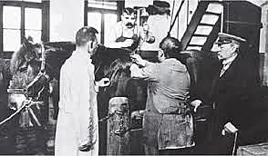 Emil Von Behring and Shibasaburo Kitasato