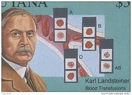 Karl Landsteiner