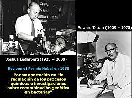 Edward Tatum y Joshua Lederberg