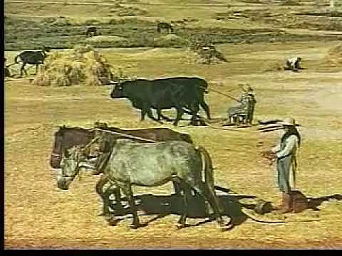 ESTADO SOCIO-ECONÓMICO