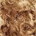 HEAD OF AN OLD MAN