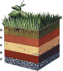 INICIO UNIDAD SUELOS