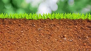 REALIZAMOS RESUMEN IMPORTANCIA DEL SUELO