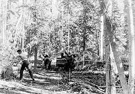 Conservation Movement