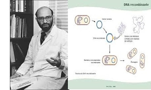 Stanley Cohen, Annie Chang, Robert Helling