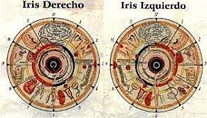 IRIDOLOGIA 1836