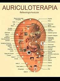 AURICULOTERAPIA 1950