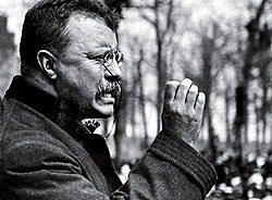 Theodore Roosevelt
