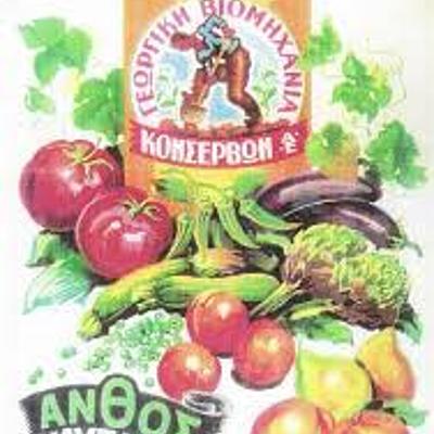 Timeline: ΤΟ ΦΟΥΓΑΡΟ