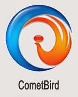 Comet bird