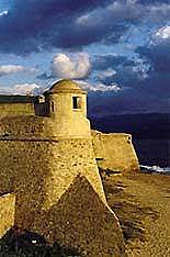 NAPOLEON’S BIRTH (1769)