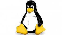 Linux