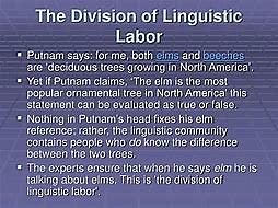 Linguistic Labor