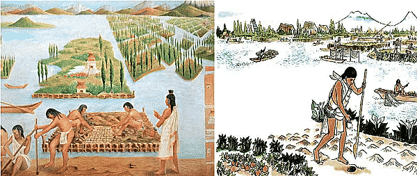 Prácticas agrícolas en Mesoamérica.